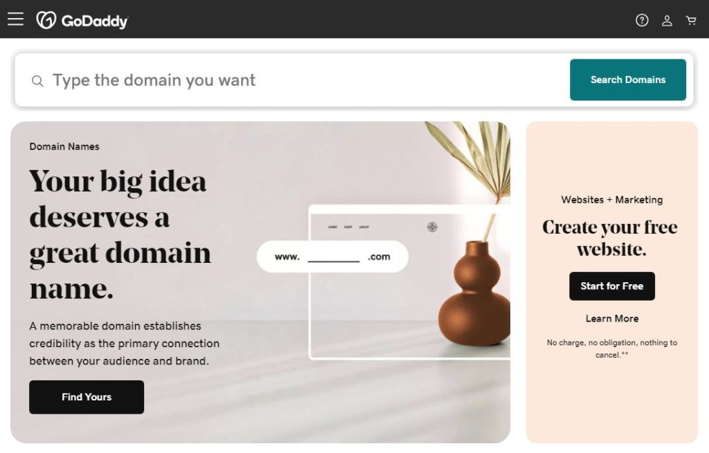 GoDaddy Website Domain