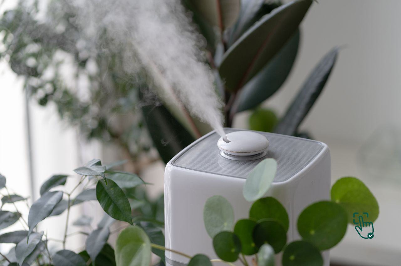 Air Purifier and Humidifier