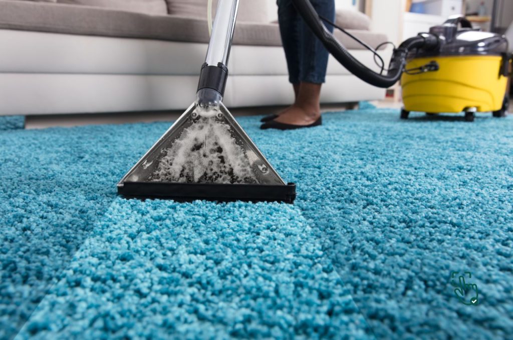 Carpet Cleaner